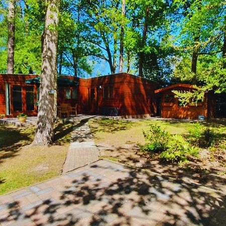 فيلا Wooden Nature Chalet - Dennenrhode Doornspijk المظهر الخارجي الصورة