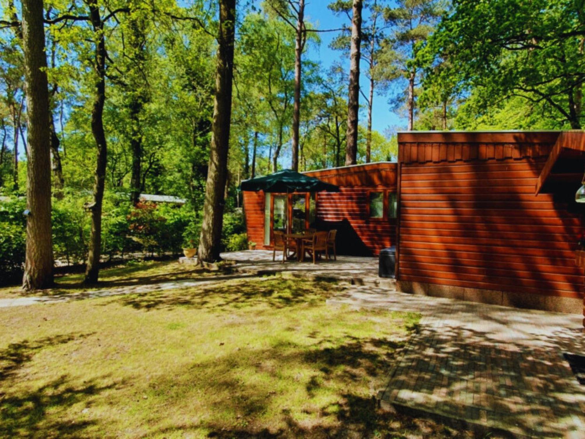 فيلا Wooden Nature Chalet - Dennenrhode Doornspijk المظهر الخارجي الصورة